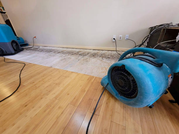 Professional Sewage Cleanup technician working in Union, OR
